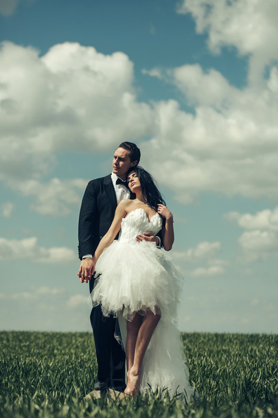 wedding couple on green grass and blue sky - Foto, Imagem