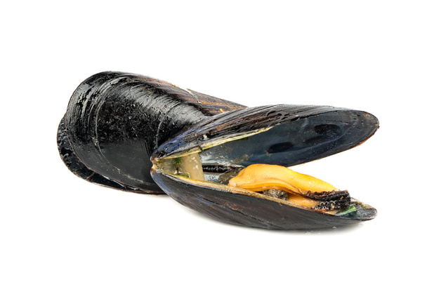 Prepared mussels isolate - Photo, Image