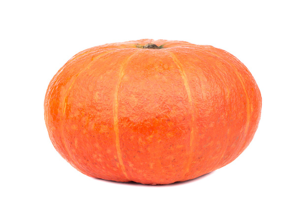 Fresh pumpkin isolate - Photo, Image