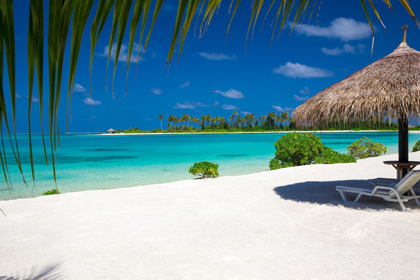 Тропічний пляж на Мальдівах.  - Фото, зображення