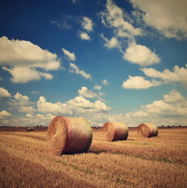 Сельский пейзаж. Седые тюки на собранных полях. Чехия - Европа. Сельское хозяйство - сбор урожая
. - Фото, изображение
