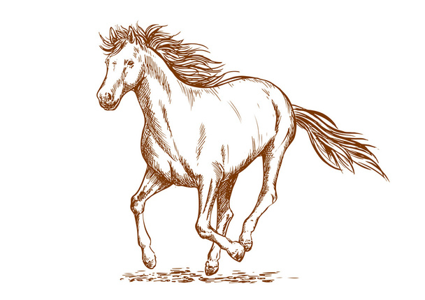 Kresba arabské klisny s hnědým koněm - Vektor, obrázek