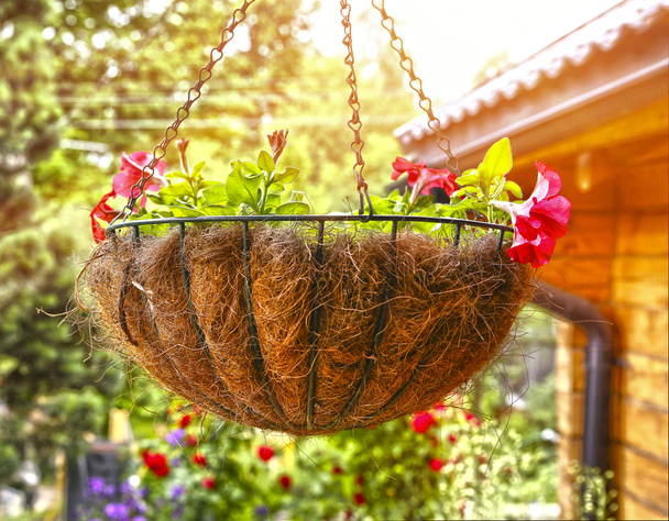 стильний квітковий кошик висить на літньому саду
 - Фото, зображення