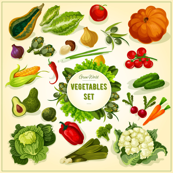 Organic fresh vegetables and herbs poster - Vector, Image