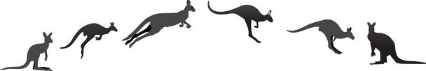 Kangaroo in de verschillende stadia - Vector, afbeelding