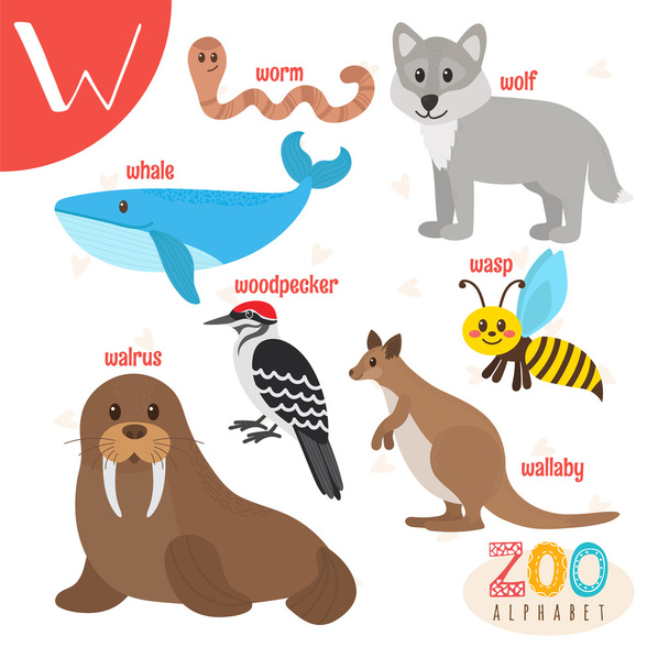 Písmeno W. roztomilá zvířata. Legrační kreslená zvířata ve vektoru. ABC-Boo - Vektor, obrázek