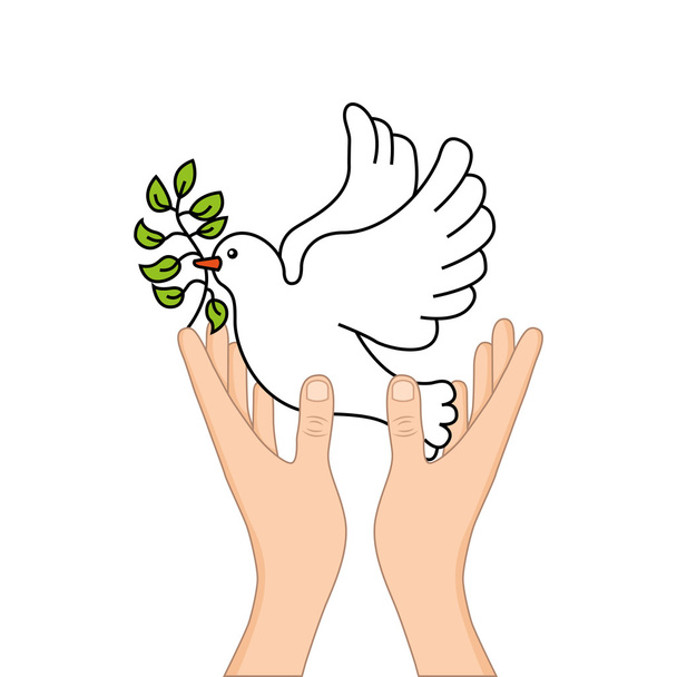 mírová holubice s olivovou ratolestí - Vektor, obrázek