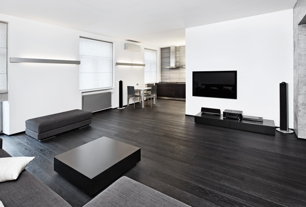 Modern minimalism style sitting room interior - Foto, imagen