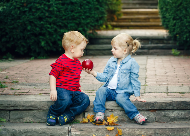Group portrait of two white Caucasian cute adorable funny children toddlers sitting together sharing apple food, love friendship childhood concept, best friends forever - Foto, Imagem