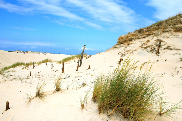 Dunas de areia
 - Foto, Imagem