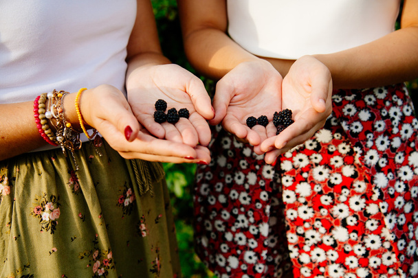 First blackberries in women hands - Фото, зображення