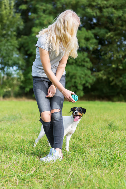 young girl plays with a dog - Zdjęcie, obraz