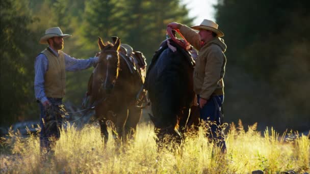 Kovboj jezdci s koňmi v Rocky mountains - Záběry, video