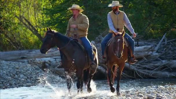 Cowboys Ratsastus hevoset joessa
  - Materiaali, video
