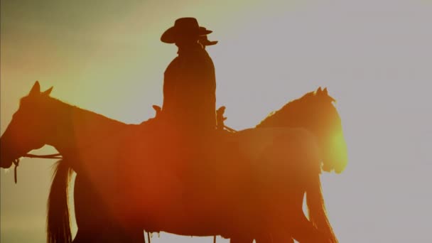 Cowboy lovasok erdőben a naplementekor - Felvétel, videó
