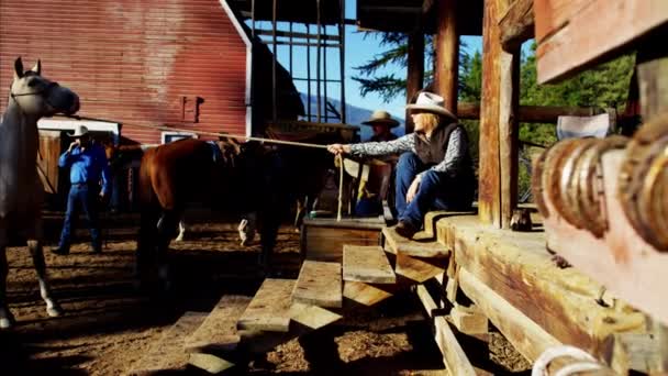 Cowgirl werken met paard - Video