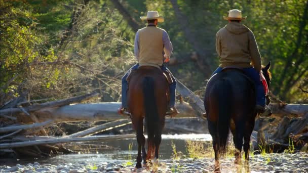 Reiter auf Pferden in felsigen Bergen - Filmmaterial, Video