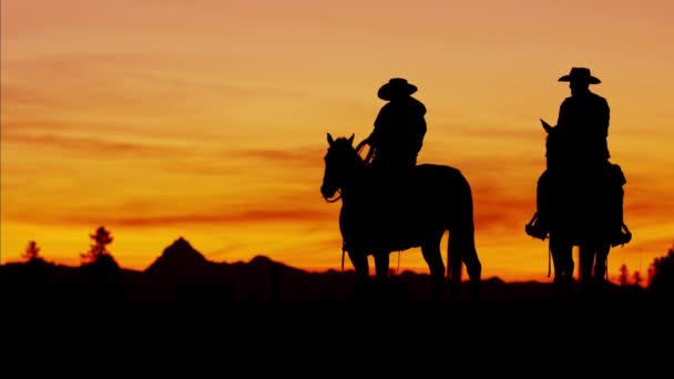 Cowboy-Fahrer im Wildnis-Waldgebiet - Filmmaterial, Video
