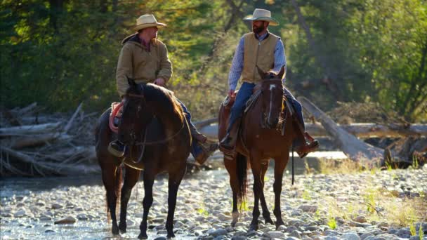 Cowboys Chevaux dans la rivière
 - Séquence, vidéo
