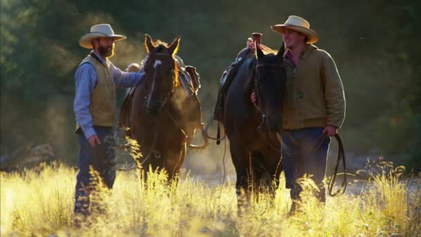 Cowboy renners rusten met paarden  - Video