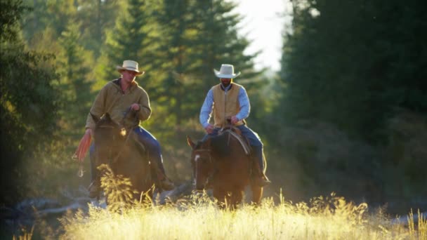 ranch hands riding horses - Footage, Video