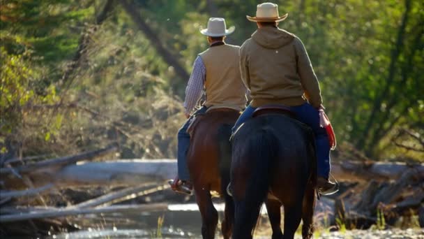 Cowboys Riding horses in the river - Footage, Video