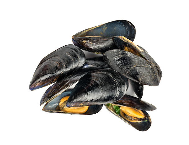 Cooked mussel in shell - Photo, Image