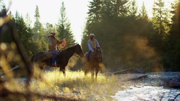 Reiter auf Pferden im Tal - Filmmaterial, Video