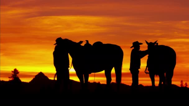 Cowboy renners in wildernis-bosgebied - Video