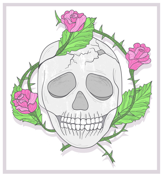 Иллюстрация черепа и роз
 - Фото, изображение