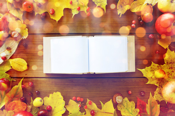empty book with autumn leaves, fruits and berries - Photo, Image