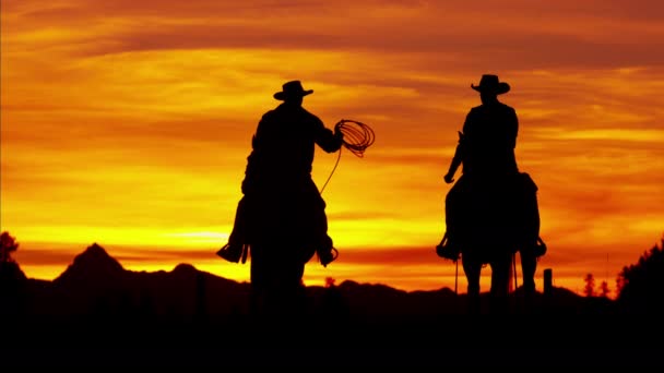 Cowboy renners in de woestijn bij de zonsondergang - Video