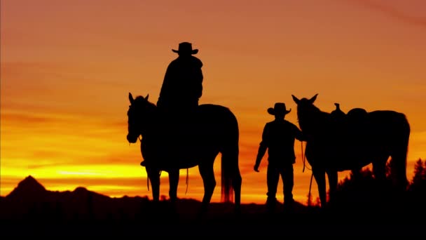 Cowboy Cavalieri nella natura selvaggia al tramonto
 - Filmati, video