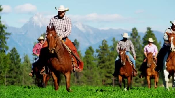 Horse riders in Kootenay National Park  - Footage, Video