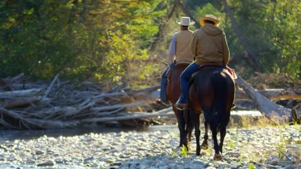 Renners op paarden lopen in de rivier  - Video