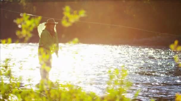 female fly fishing in Freshwater - Footage, Video