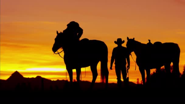 Cowboy lovasok vadonban a naplementekor - Felvétel, videó