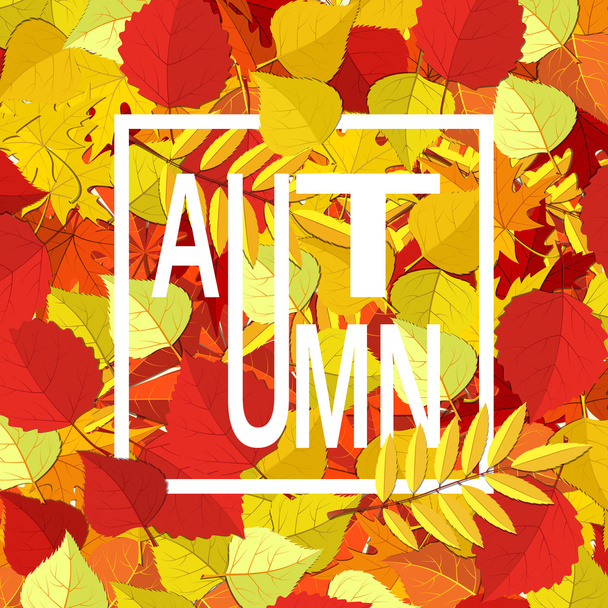 Fondo de otoño. Hojas de otoño amarillo anaranjado y texto
. - Vector, imagen