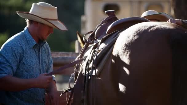 Cowboys v ohradě zatěžování koně - Záběry, video