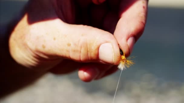 fisherman hand tying dry fly - Footage, Video
