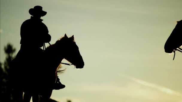 Cowboy renners in bos bij de zonsondergang - Video