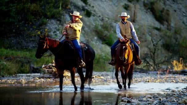 Kovboje na koni koně v řece  - Záběry, video