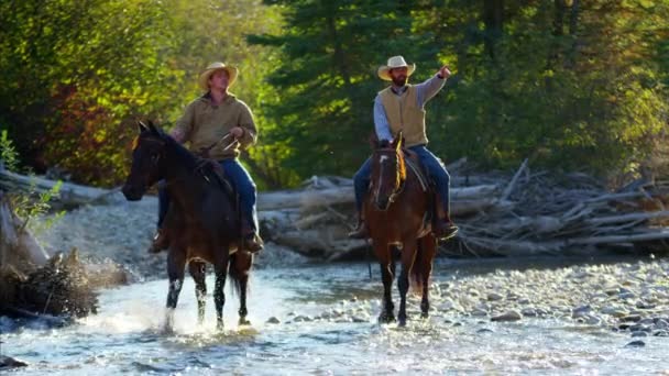 Renners op paarden lopen in de rivier  - Video