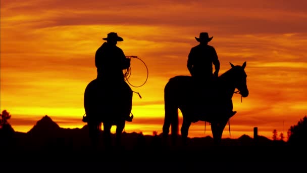 Cowboy-Fahrer im Wildnis-Waldgebiet - Filmmaterial, Video