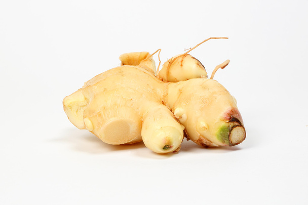 Ginger raw young fresh - 写真・画像