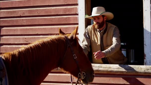Cowboy-Bindung mit Pferd - Filmmaterial, Video