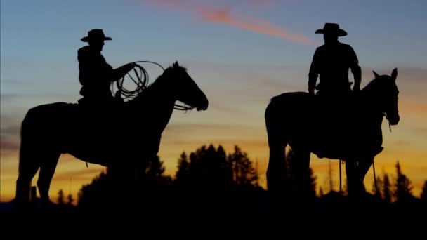 Cowboy jeźdźców w lesie na zachód słońca - Materiał filmowy, wideo