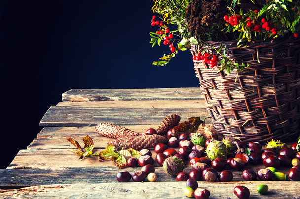 Feuilles fanées, fleurs d'automne et châtaignes dans un panier en osier
 - Photo, image