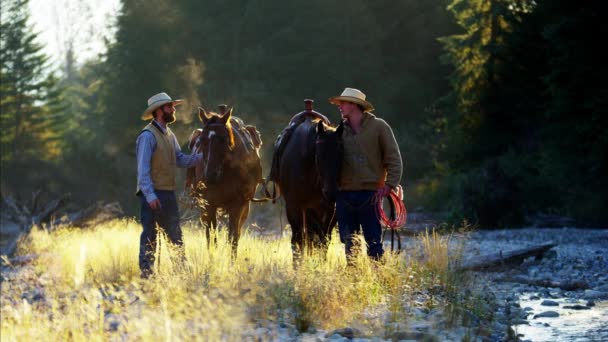 Cowboy ratsastajat hevosten kanssa Rocky vuorilla
 - Materiaali, video