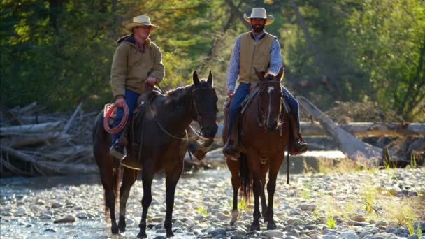 Jezdci na koních v Rocky mountains - Záběry, video